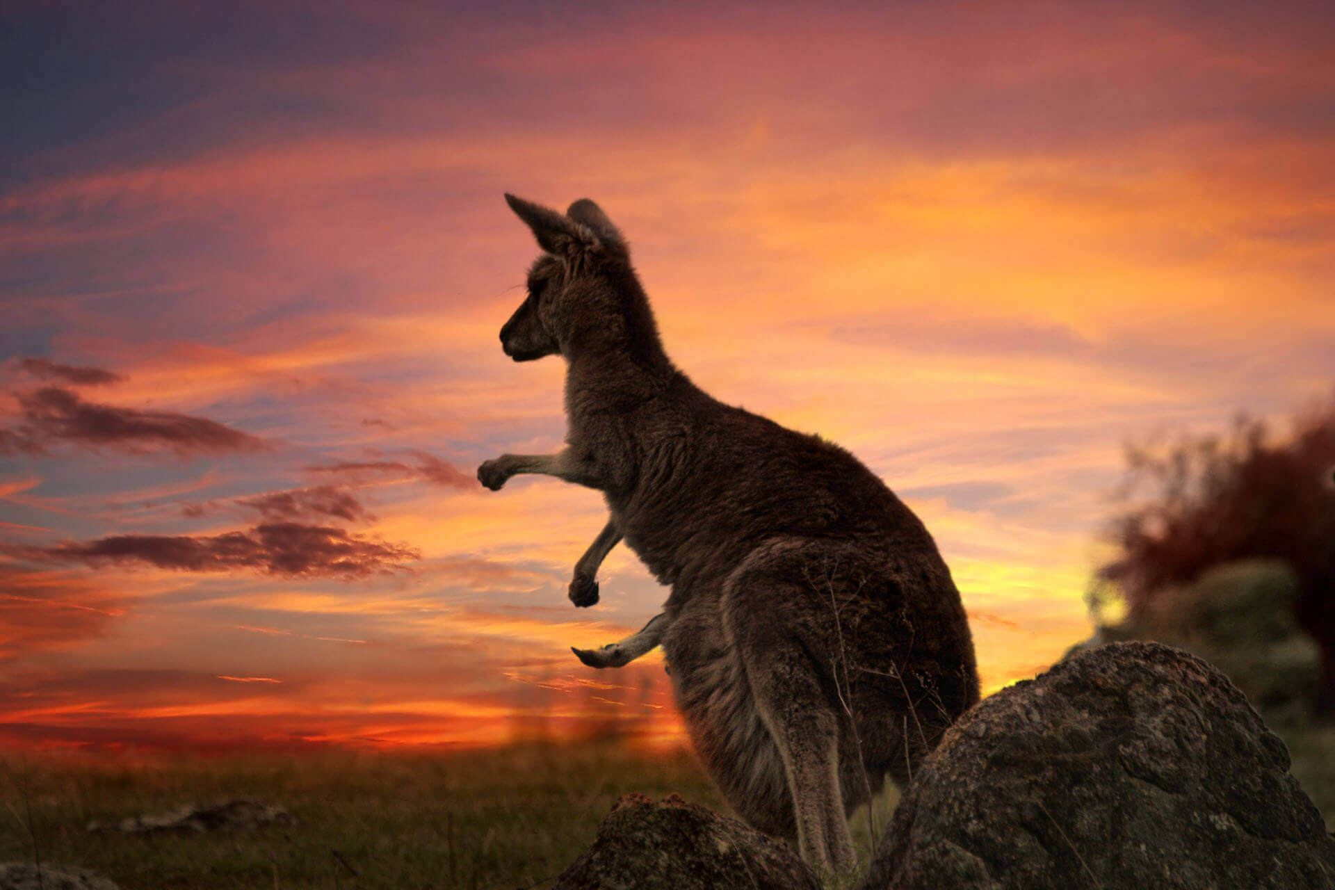 Australia: New Priority Consideration for Skilled Visa Applications