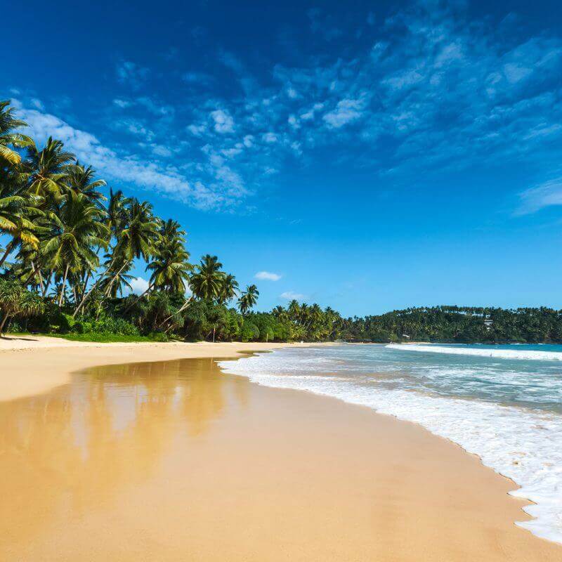 Sri Lanka: Expired Residence and Tourist Visas Extended