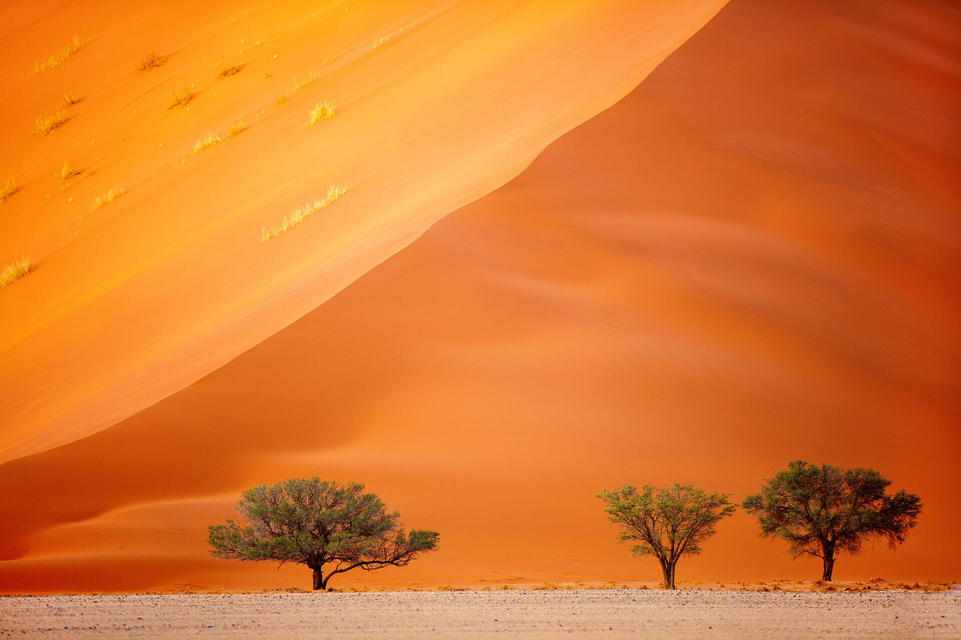 Namibia New Six Month Remote Work Visa Introduced