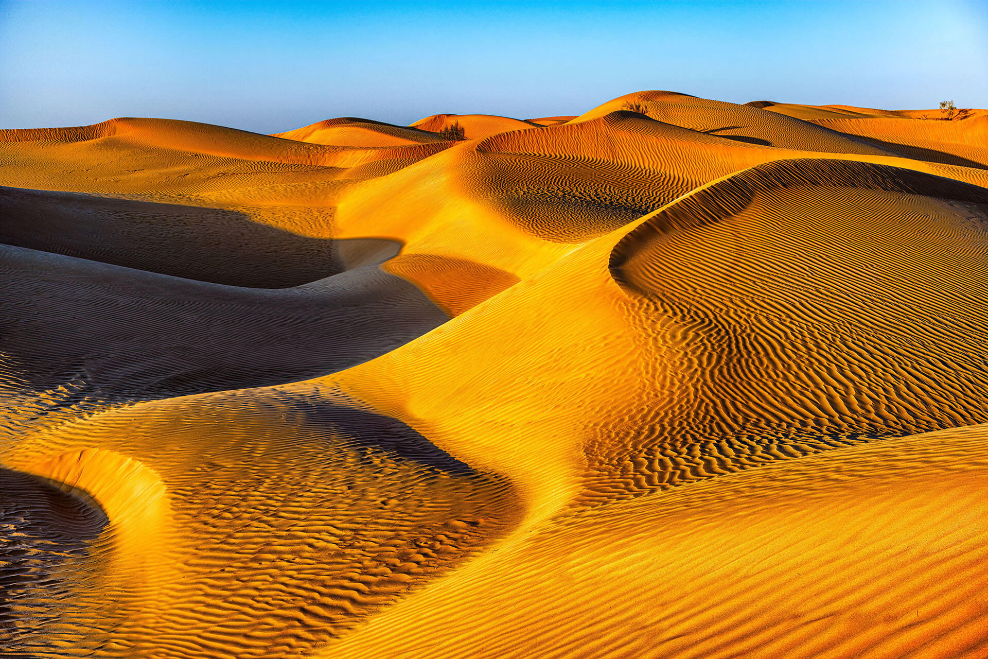Oman Visa Free Travel For GCC Member States
