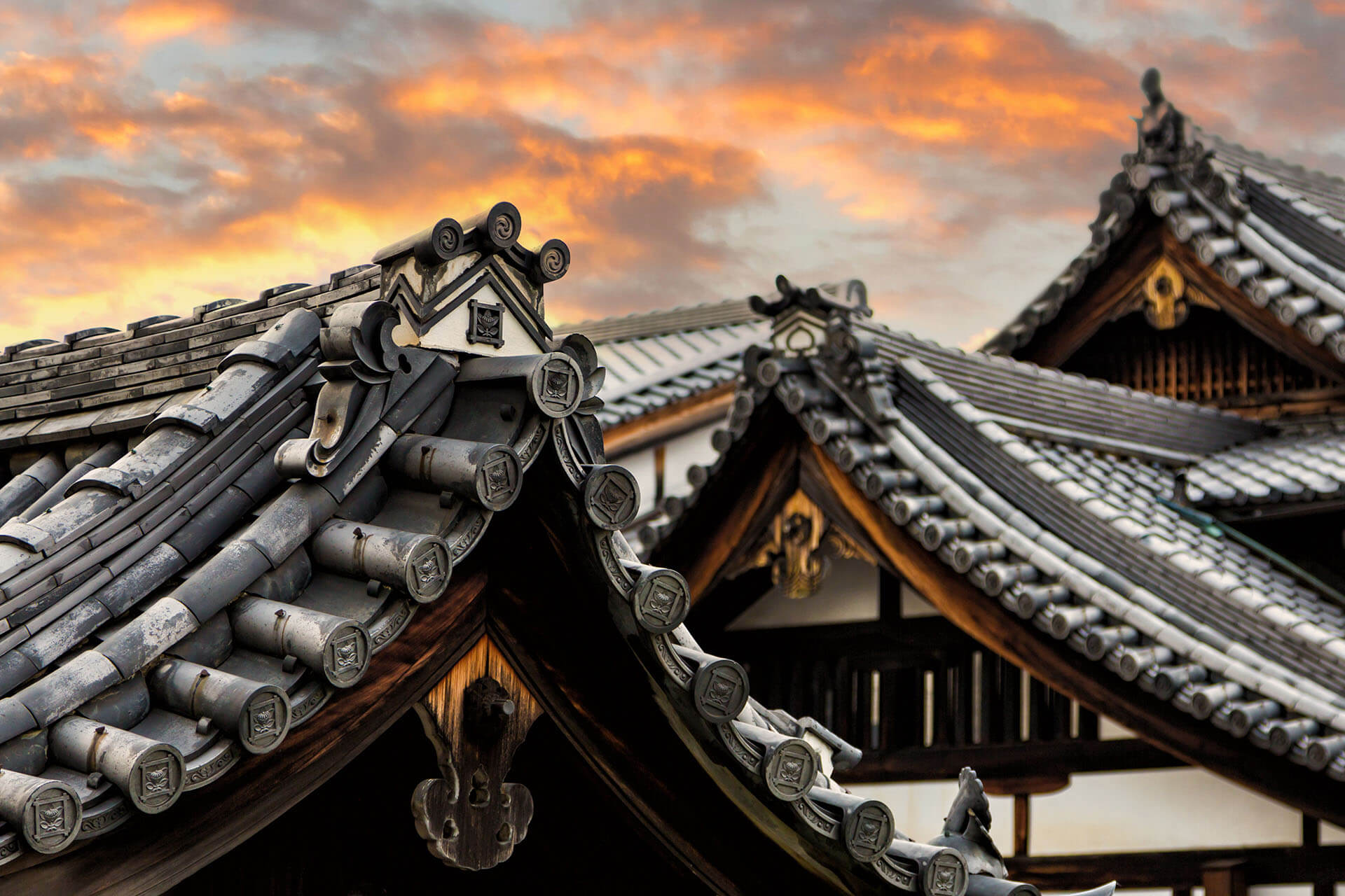 Japan New Highly Skilled Professional Visa Routes In April 2023