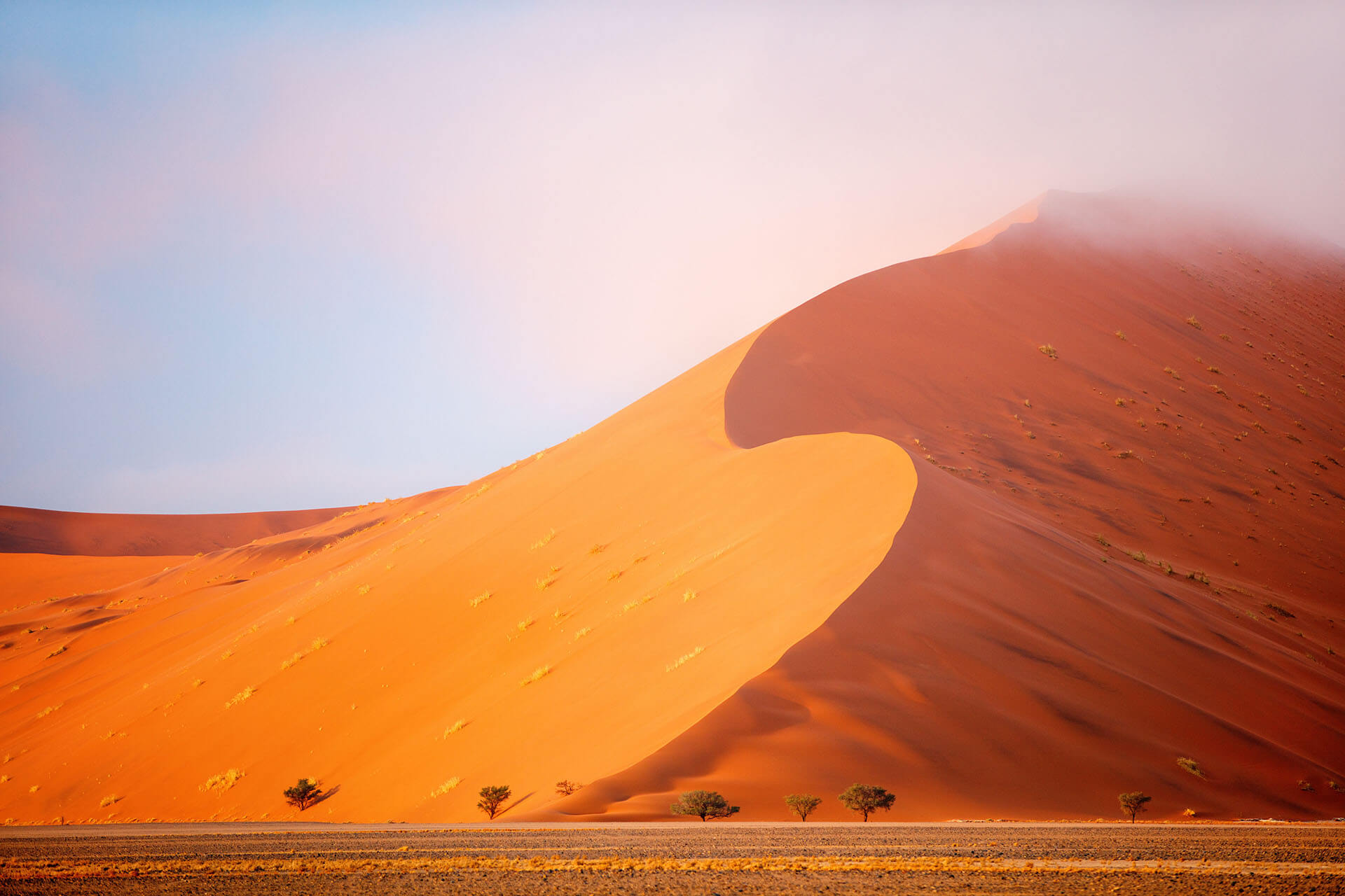 Namibia Online Application Service For Short Term Permits