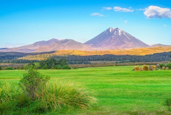 New Zealand: Extensions for Certain Interim Visas