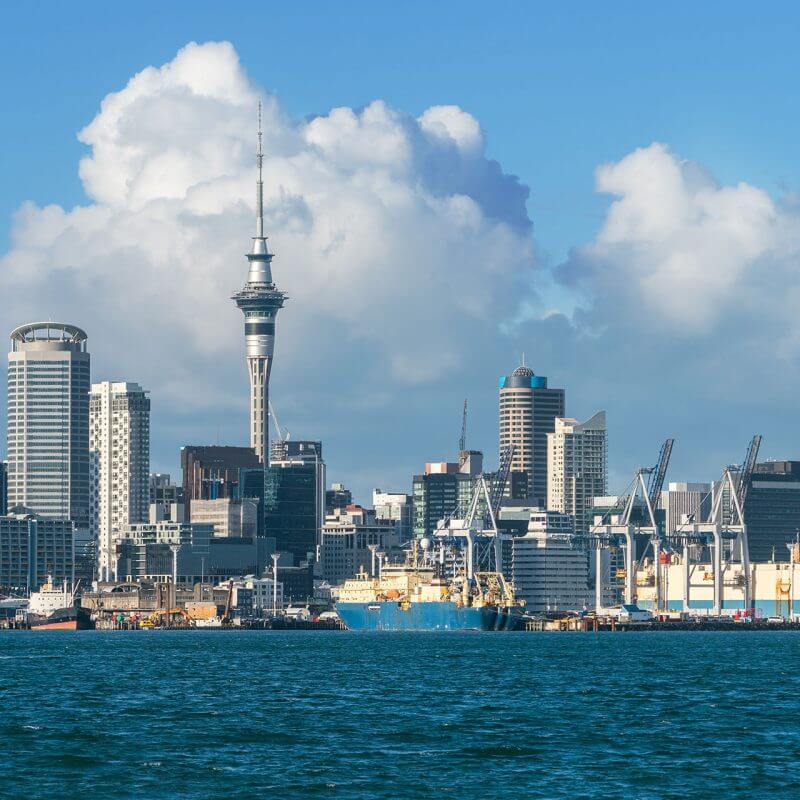 New Zealand: New Online Forms for Certain Immigration Steps