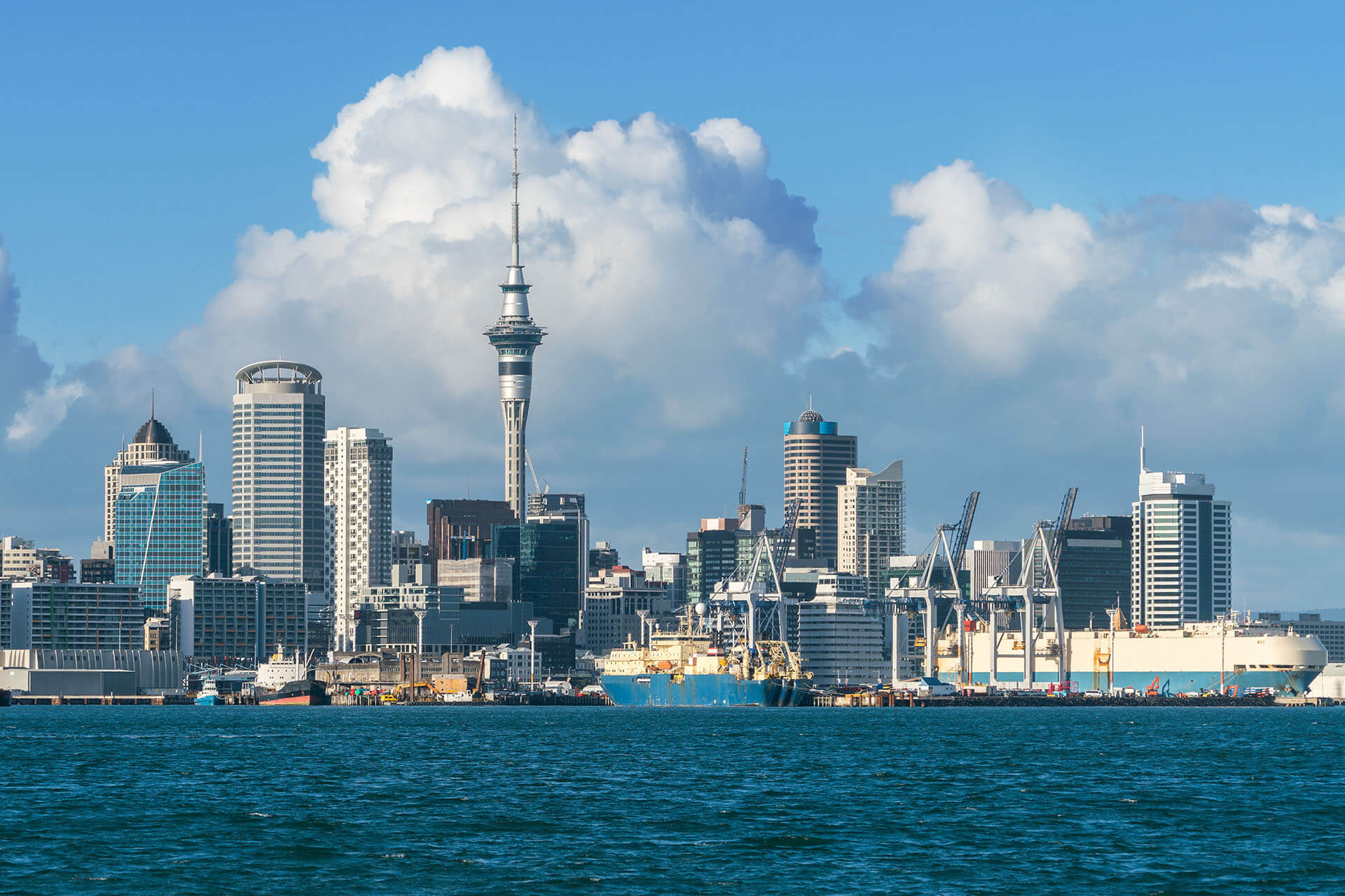 New Zealand: New Online Forms for Certain Immigration Steps