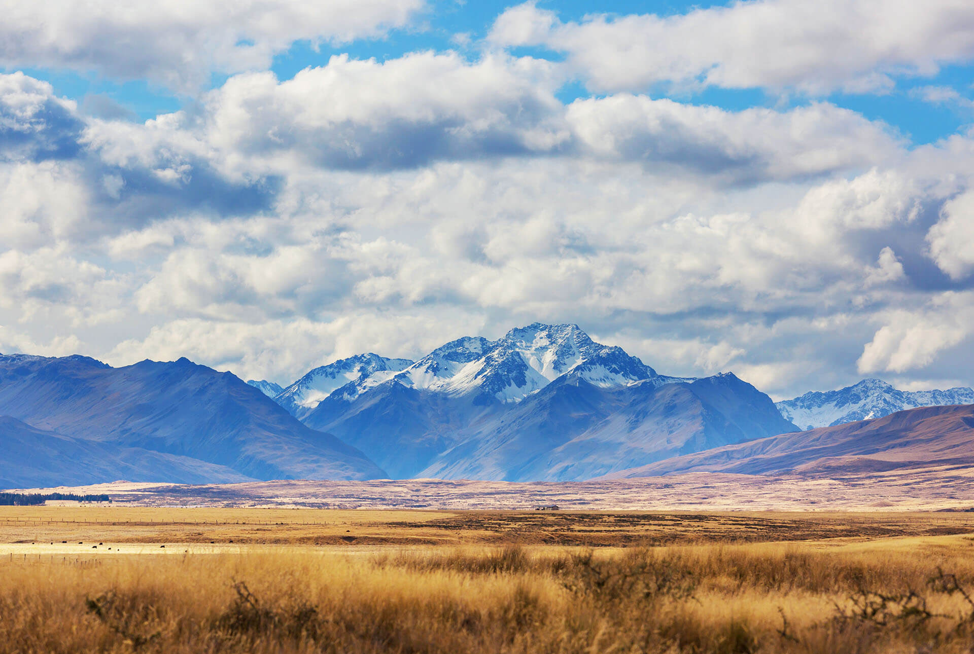 New Zealand: New Skilled Migrant Category Route