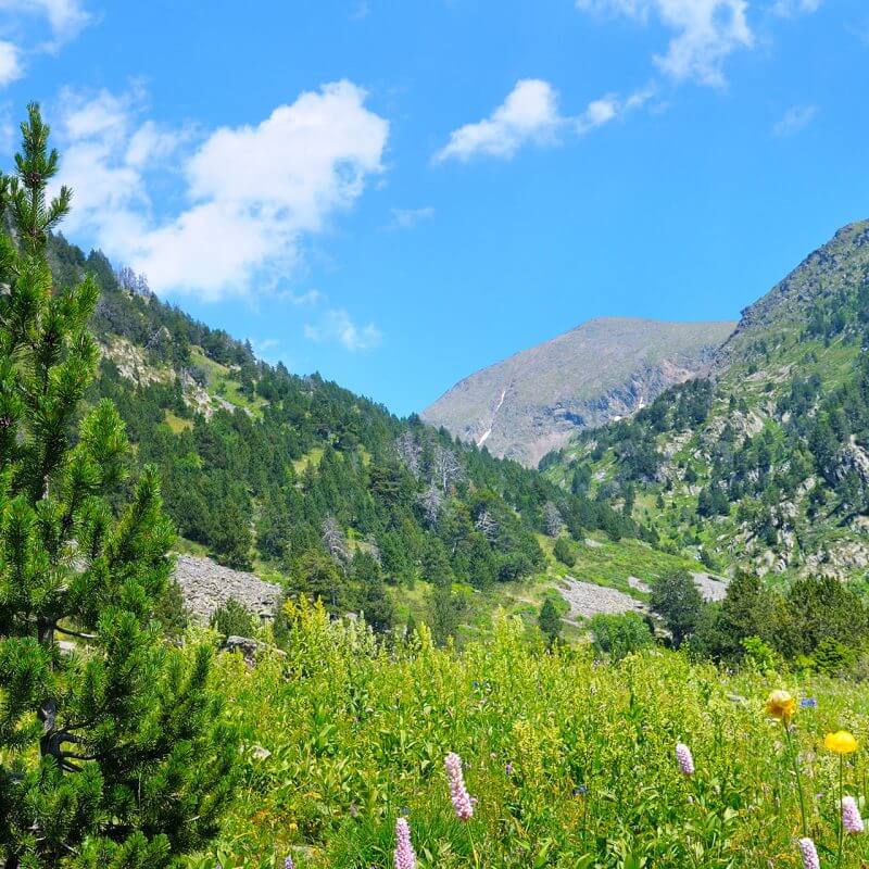 Andorra: Updated Temporary Residence Permits Quota