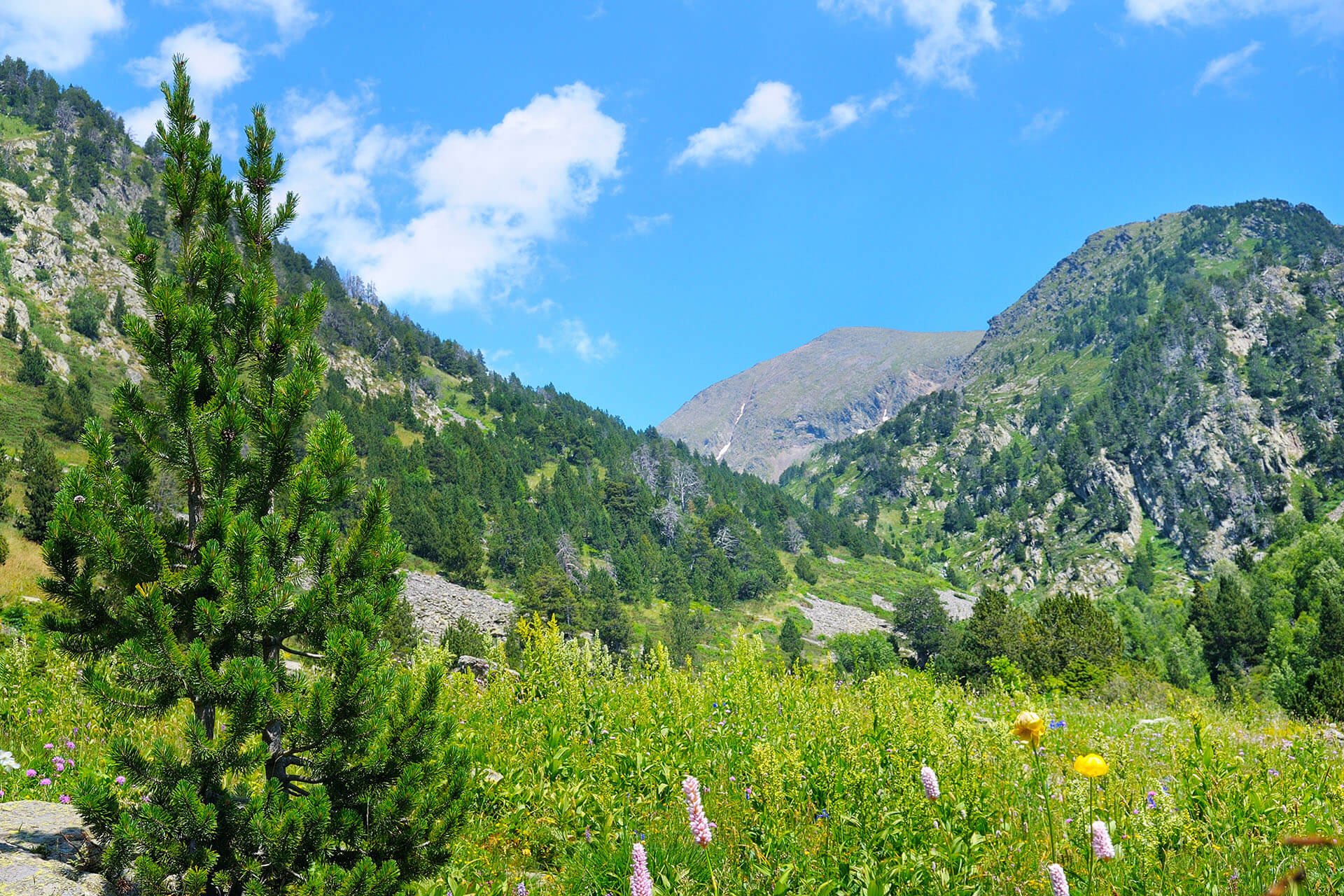 Andorra: Updated Temporary Residence Permits Quota