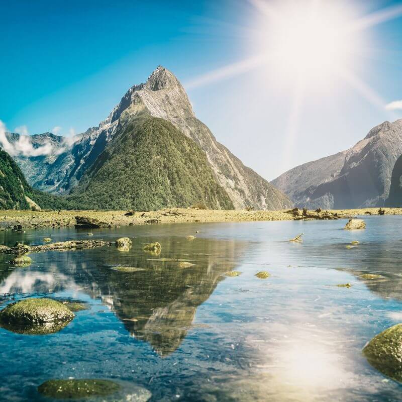 New Zealand: Ballot Dates Announced for Specific Visa Categories