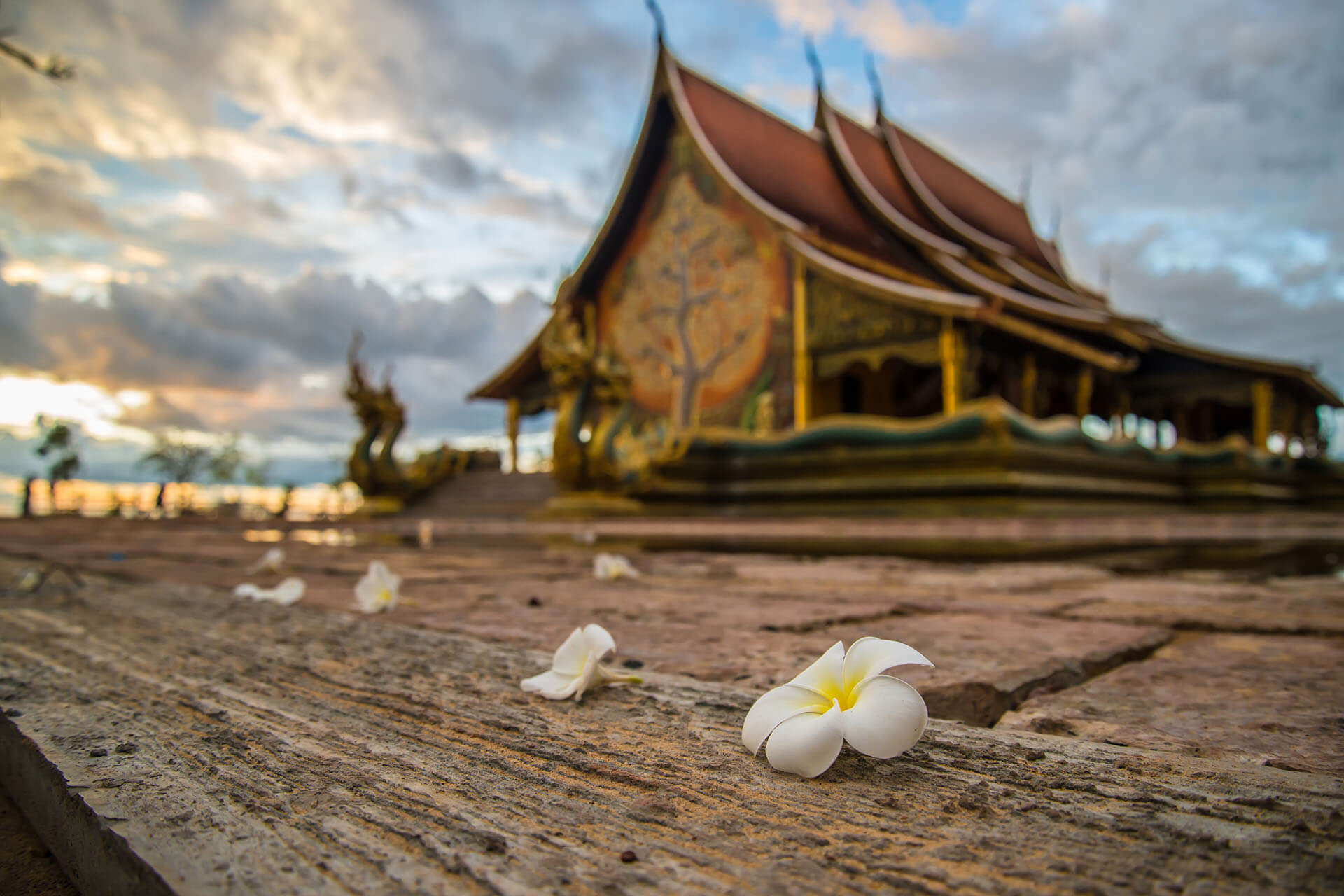 Thailand: Updates to the Single Window for Visa and Work Permits