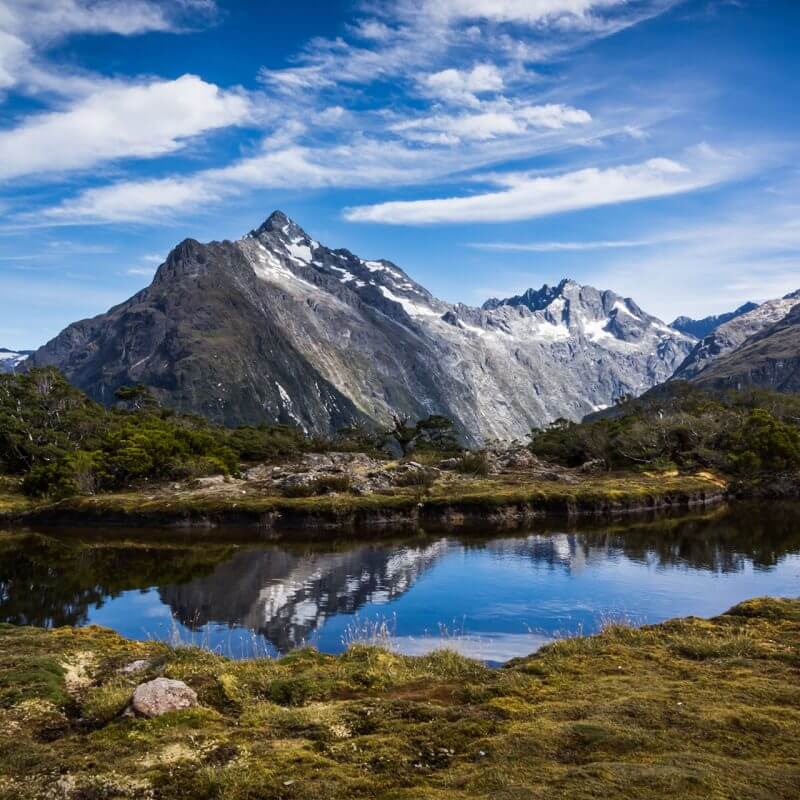 New Zealand: Online Permanent Resident Visa Options