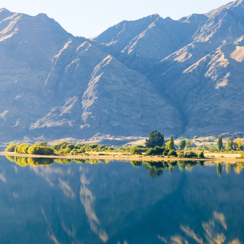 New Zealand: Expanded Healthcare Visa Options