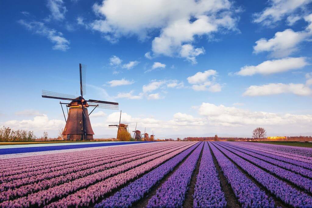 Netherlands: New Visa Minimum Salary Requirements