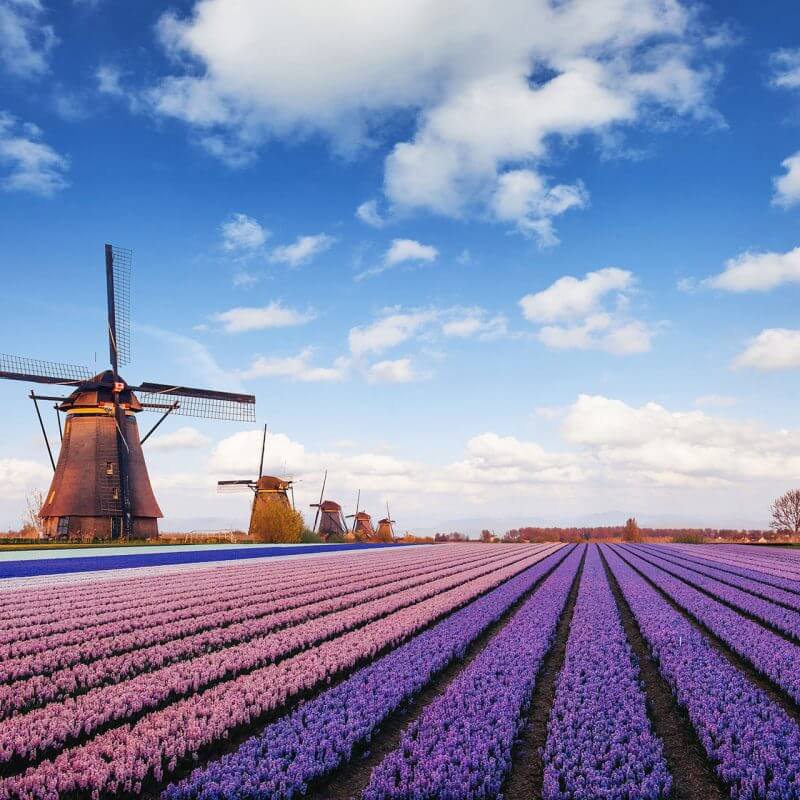 Netherlands: New Visa Minimum Salary Requirements