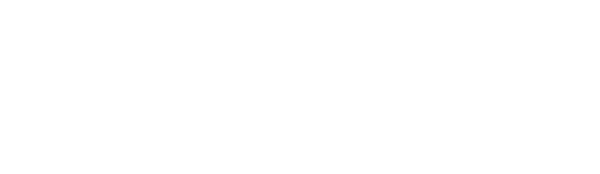 Corporate Immigration Partners Logo