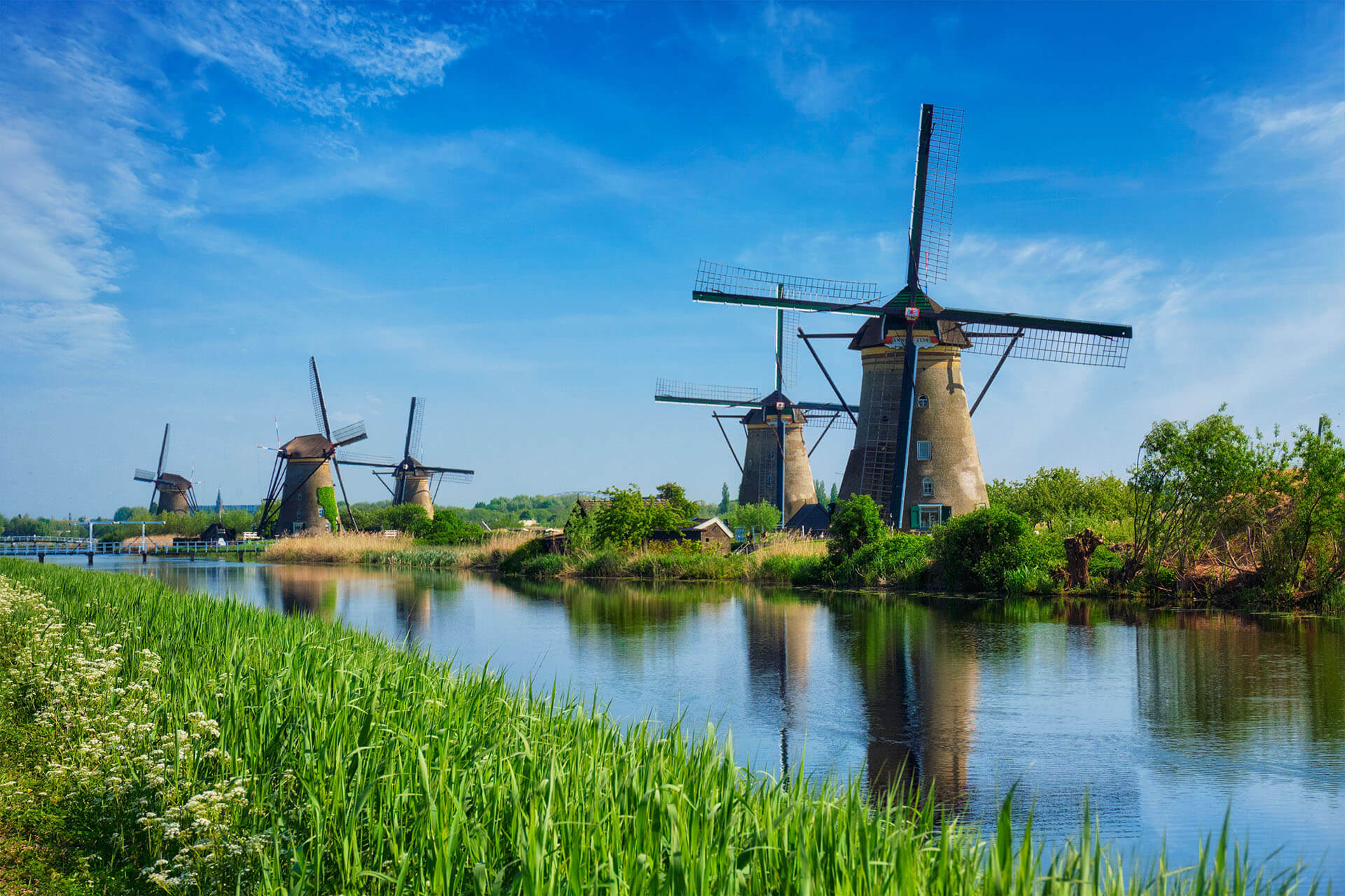 Netherlands: EU Temporary Protection for Ukrainians Extended