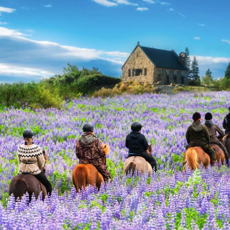 New Zealand: Student Visa Work Rights Expanded