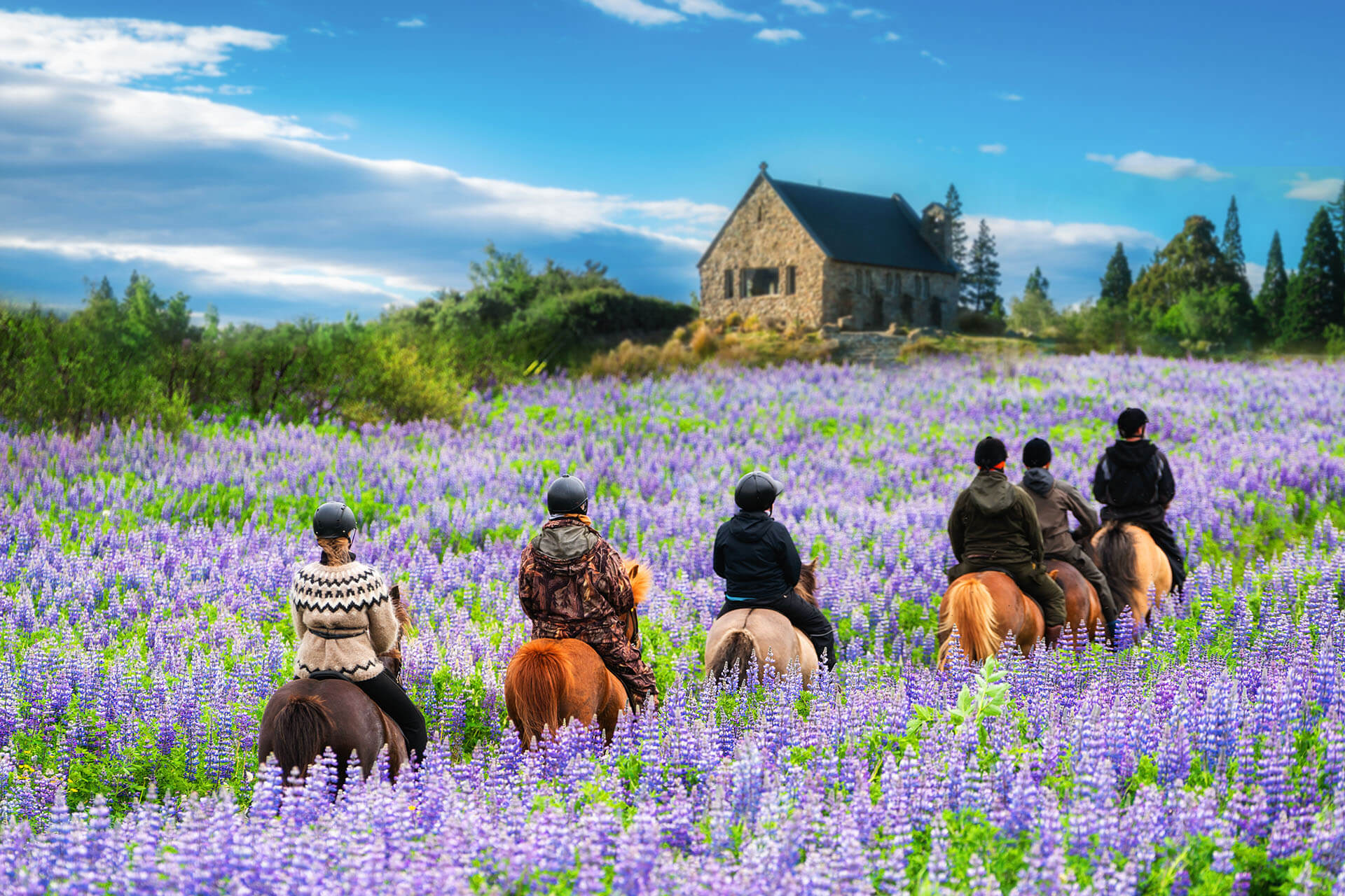 New Zealand: Student Visa Work Rights Expanded