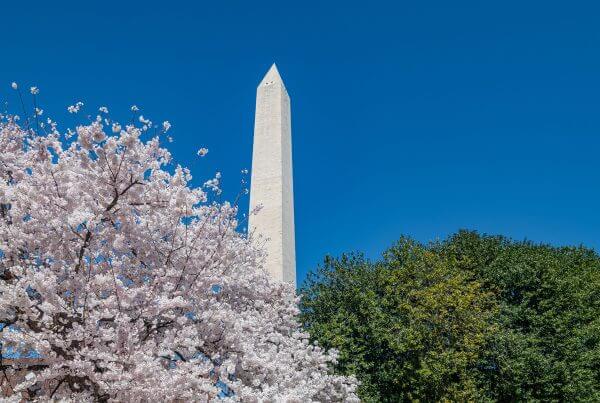 US: New Immigration Fees Introduced Under Budget Law