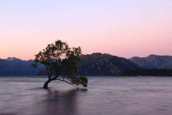 New Zealand: Health Requirement Updates for Visa Holders
