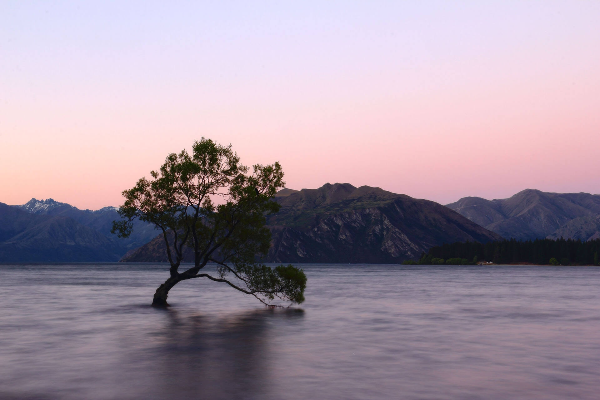 New Zealand: Health Requirement Updates for Visa Holders