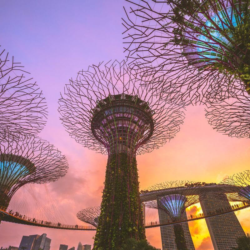 Singapore: NWC to Set 2025–2026 Wage Guidelines