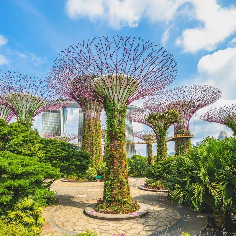 Singapore: S Pass Salary and Levy Rates to Rise in 2025