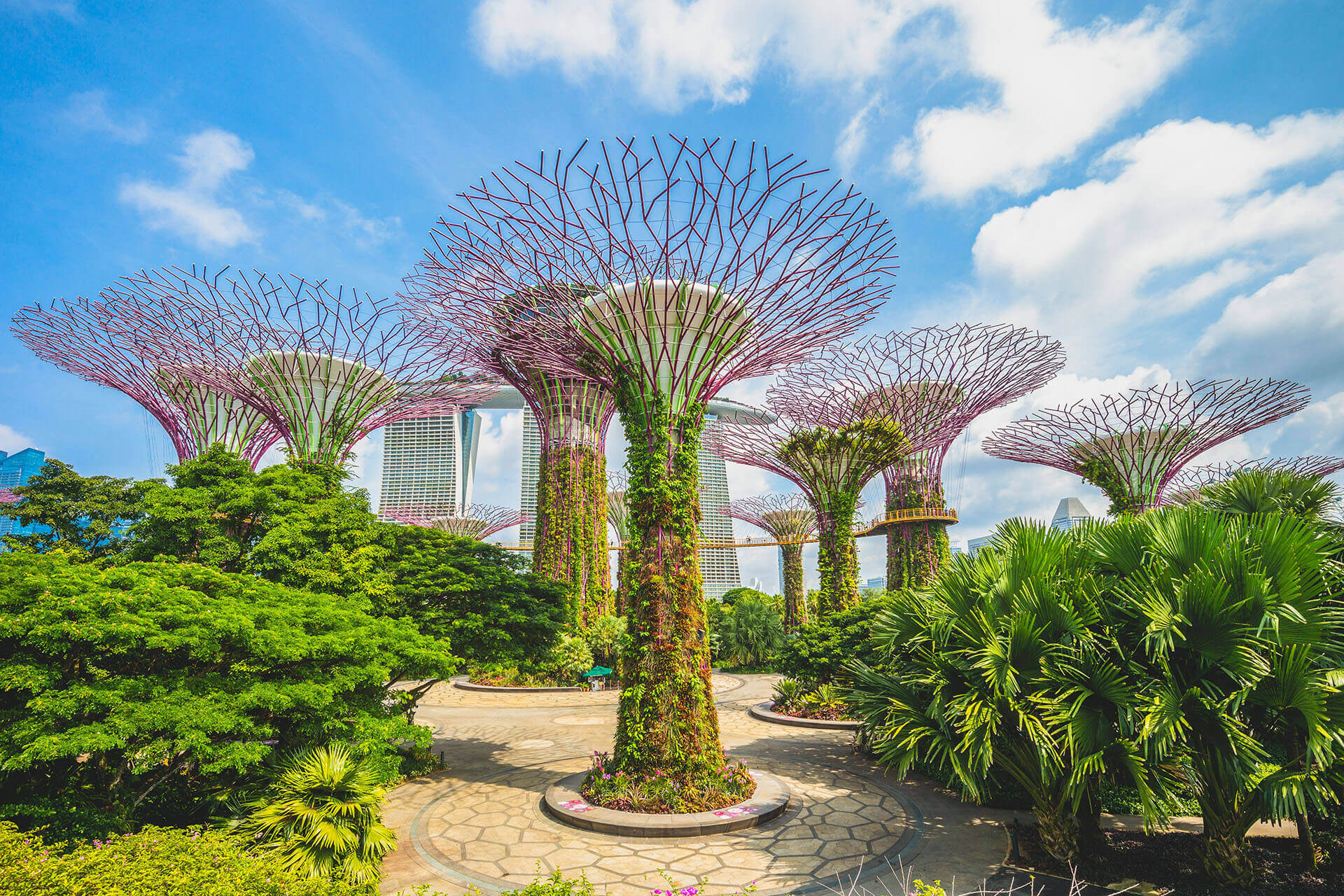 Singapore: S Pass Salary and Levy Rates to Rise in 2025