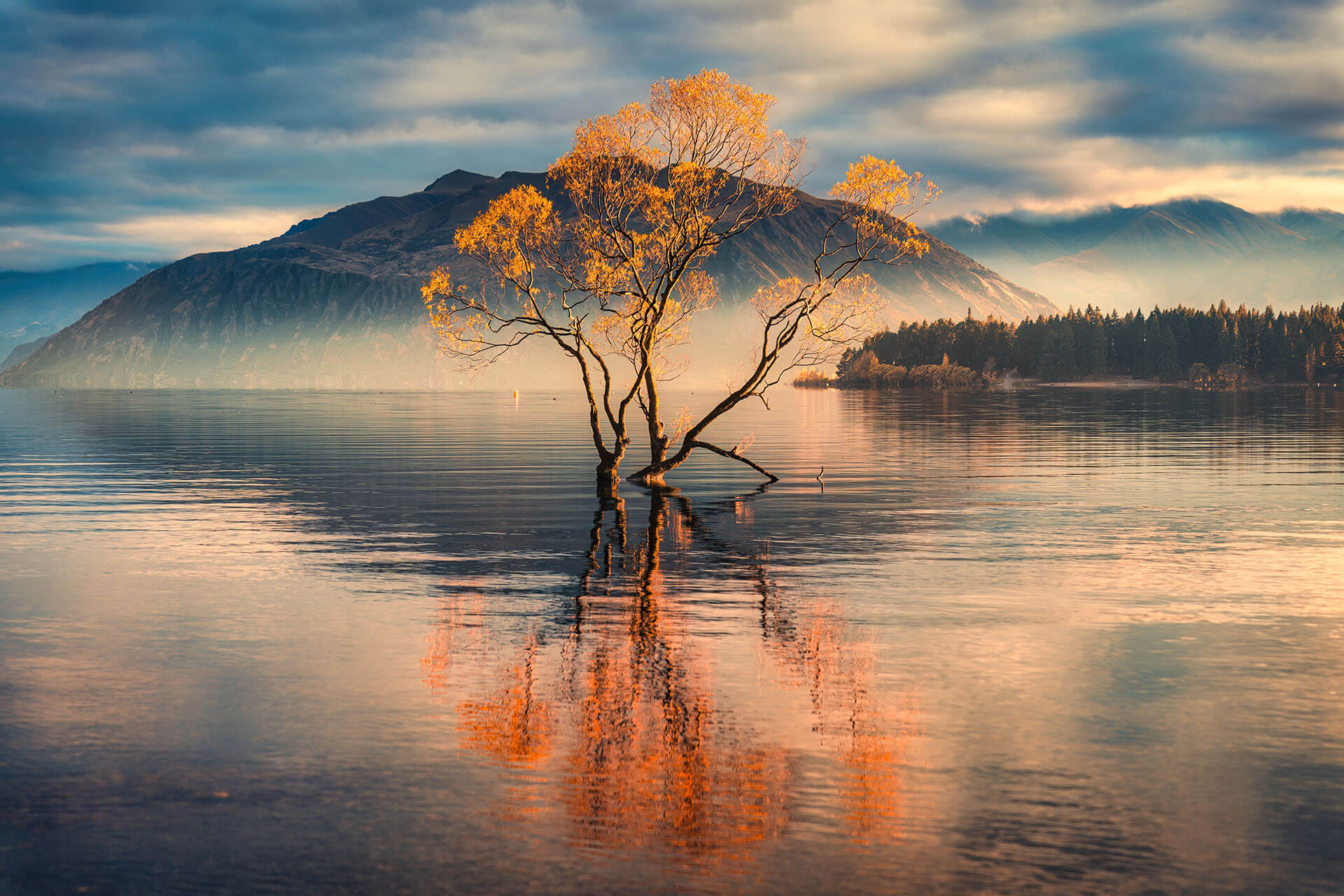 New Zealand: Business Investor Visa Replaces Entrepreneur Visa