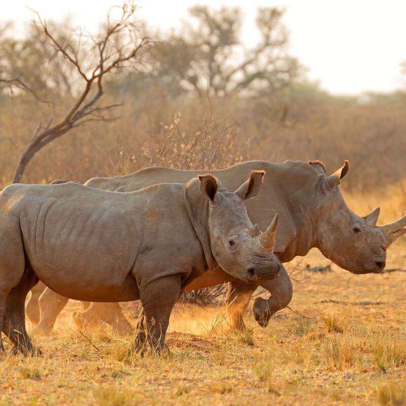 Global: Immigration News Roundup – November 21, 2025