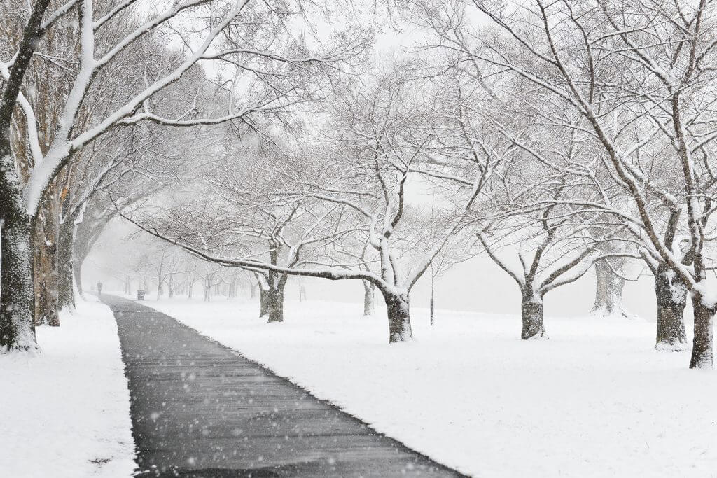 US: Immigration News Roundup – January 9, 2026