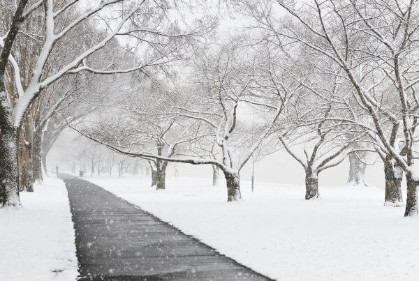 US: Immigration News Roundup – January 9, 2026