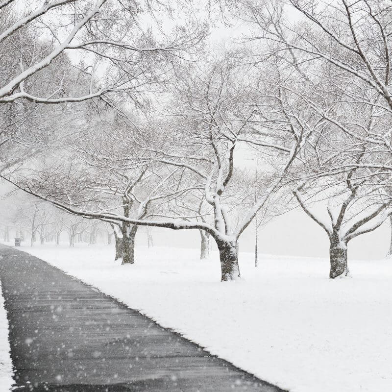 US: Immigration News Roundup – January 9, 2026