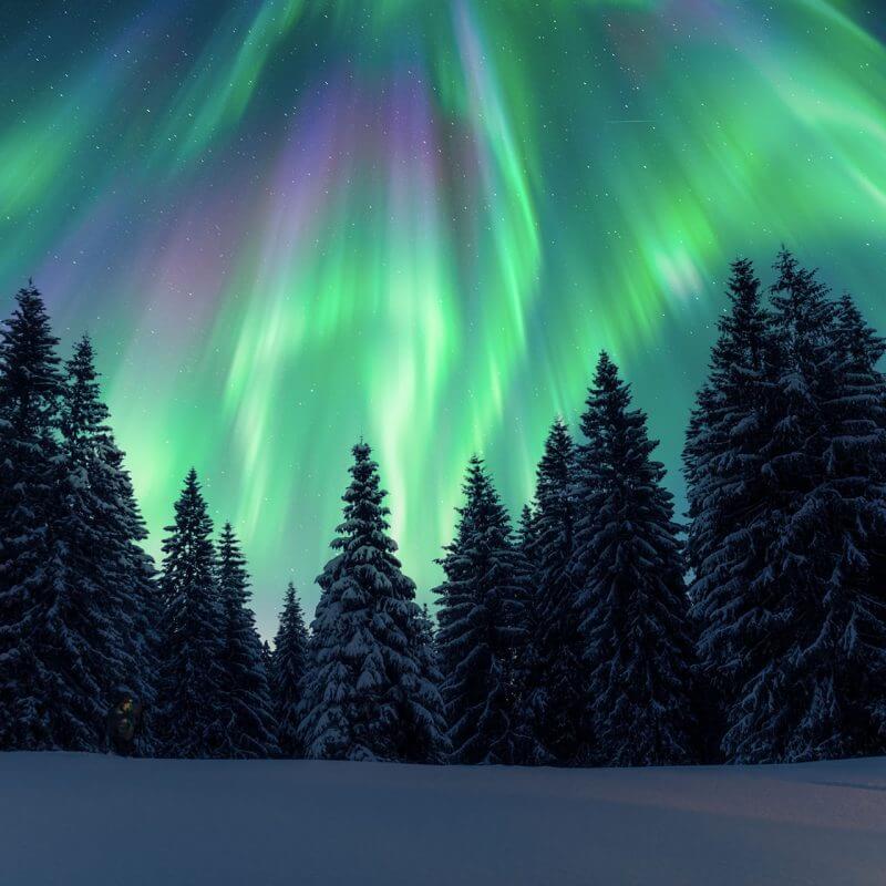 Global: Immigration News Update – April 10, 2026