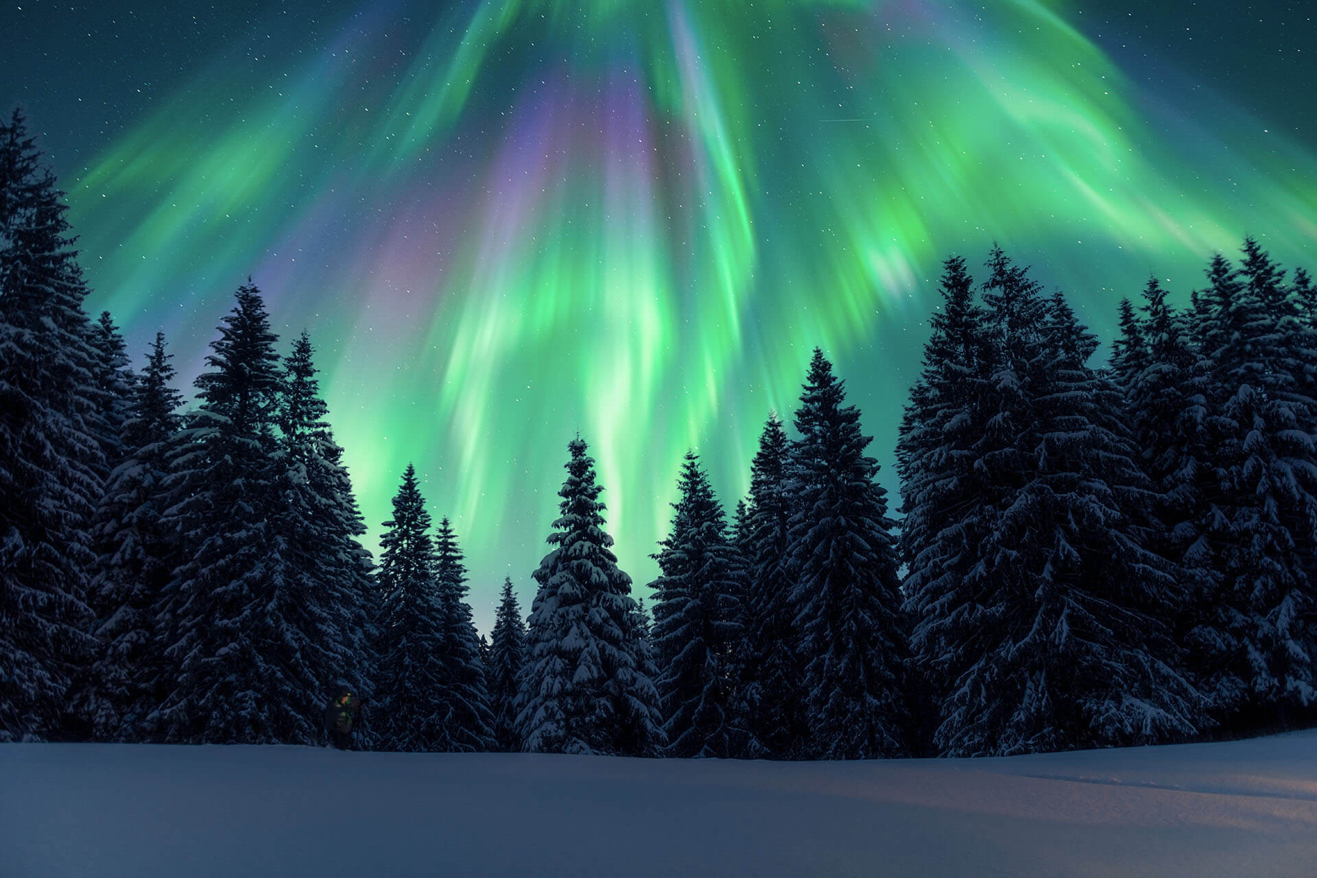 Global: Immigration News Update – April 10, 2026